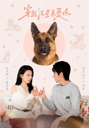 穿越汪星来爱你（62集）视频在线看