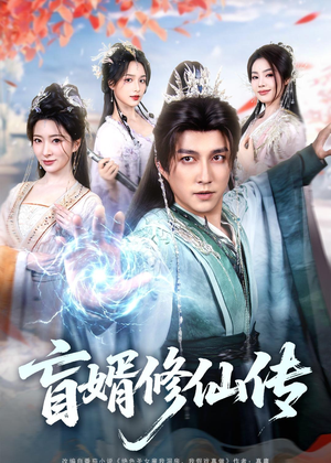 盲婿修仙传（65集）看到大结局
