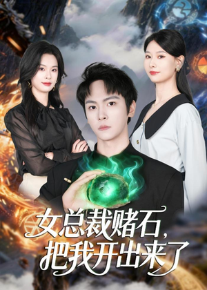 女总裁赌石，把我开出来了（76集）更新时间