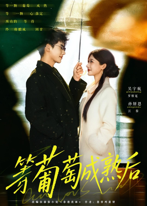 等葡萄成熟后(82集) 等葡萄成熟后(82集)免费观看