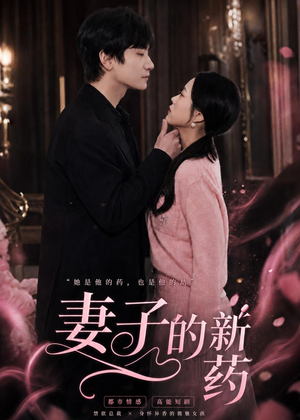 妻子的新药(60集) 妻子的新药(60集)演的怎么样