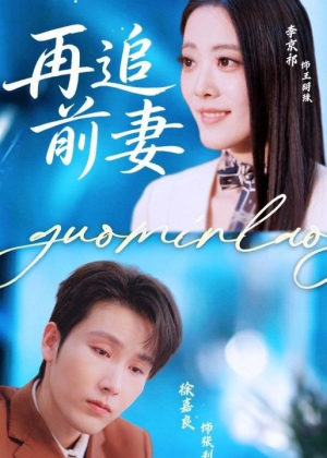 再追前妻（49集）最新热剧免费看