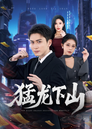 猛龙下山（75集）全集都在这里了