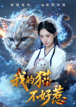 我的猫不好惹（42集）一起追短剧吧
