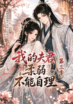 我的夫君柔弱不能自理第三季(56集) 我的夫君柔弱不能自理第三季(56集)经典老剧免费看