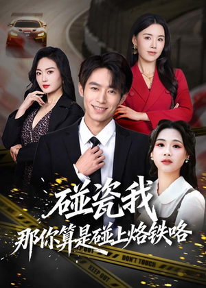 碰瓷我那你算是碰上烙铁咯（80集）全集