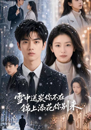雪中送炭你不在，锦上添花你别来（60集）怎么看全集