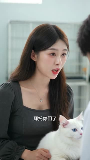 爱的距离（72集）1-102集