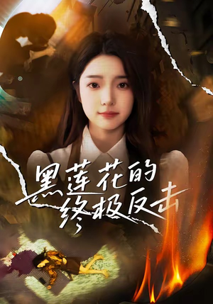 黑莲花的终极反击（60集）短剧热播中