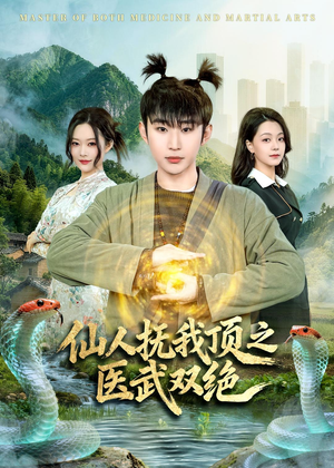 仙人抚我顶之医武双绝(66集) 仙人抚我顶之医武双绝(66集)看过的人都说好