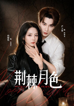 荆棘月色（86集）高清无码免费看