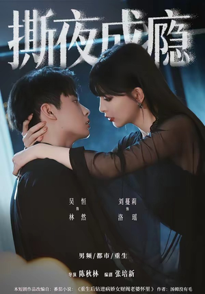 撕夜成瘾(74集) 撕夜成瘾(74集)好看吗