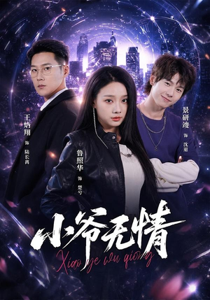 小爷无情（75集）短剧小说在线看