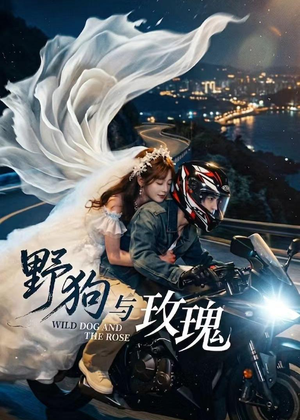 野狗与玫瑰(30集) 野狗与玫瑰(30集)最火短剧热播
