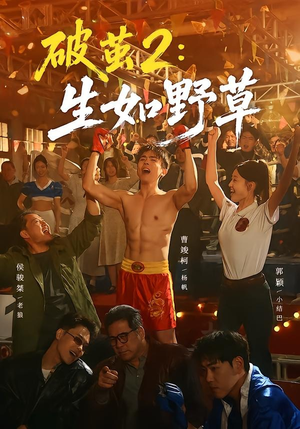 破茧2：生如野草（55集）全部免费看全集