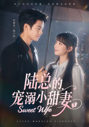 陆总的宠溺小甜妻（61集）360网盘观看