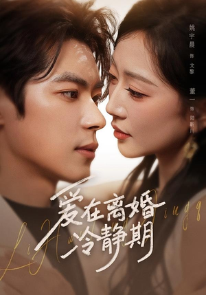 爱在离婚冷静期(73集) 爱在离婚冷静期(73集)在哪里可以看