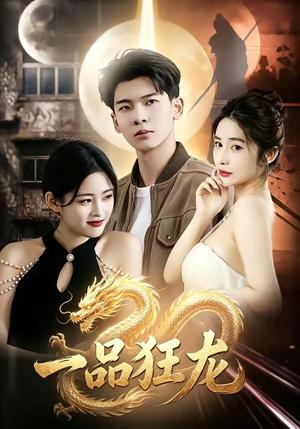 一品狂龙（68集）1-102集