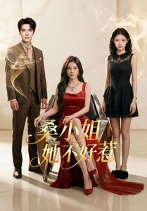 桑小姐她不好惹(103集) 桑小姐她不好惹(103集)精彩短剧看全集