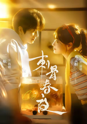 刺骨春夜（85集）在线看免费版