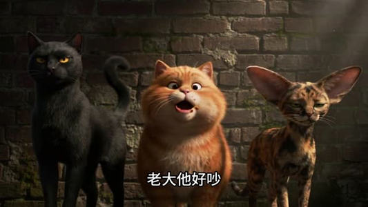 萌猫归途(51集) 萌猫归途(51集)在线观看
