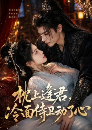 枕上逢君，冷面侍卫动了心（92集）短剧免费看