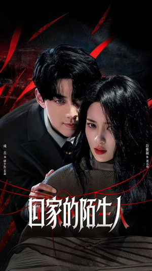 回家的陌生人（61集）第一集
