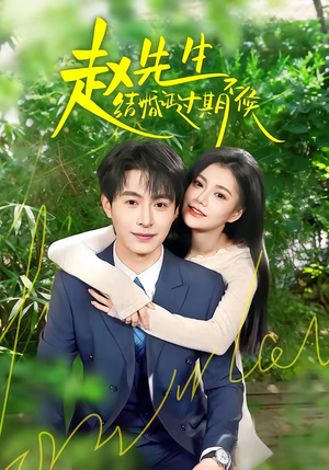 赵先生结婚证过期不候（50集）高分佳作免费看