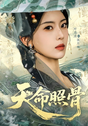 天命照骨（81集）在线看完整版
