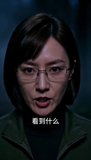 昆仑岭之迷龙（35集）好看吗