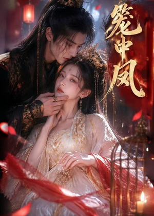 笼中凤（44集）不用花钱看全剧