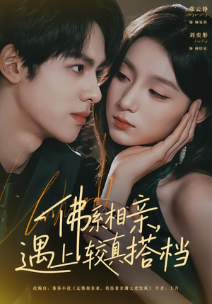 佛系相亲，遇上较真搭档（91集）热门短剧免费看