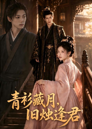 青衫藏月,旧烛逢君(56集) 青衫藏月,旧烛逢君(56集)更新时间一览表