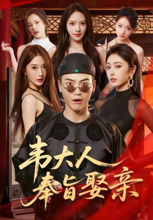 韦大人奉旨娶亲（81集）在哪里看