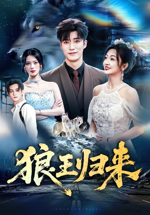 狼王归来(51集) 狼王归来(51集)网盘在线观看