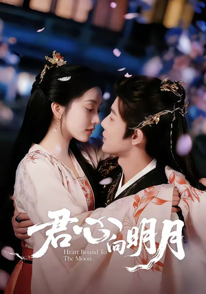 君心向明月(60集) 君心向明月(60集)最热门短剧来了