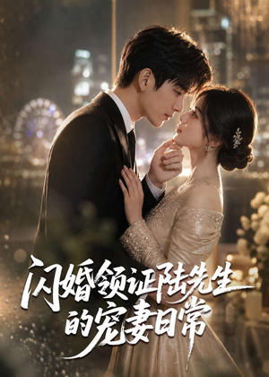 闪婚领证陆先生的宠妻日常(72集) 闪婚领证陆先生的宠妻日常(72集)精彩短剧抢先看