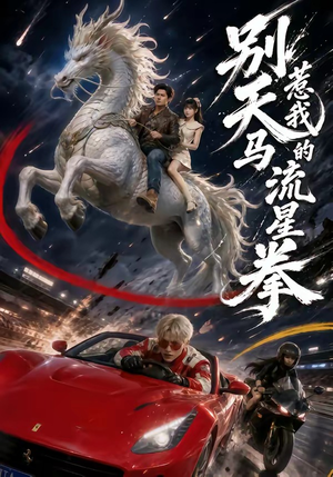 别惹我的天马流星拳（40集）夸克网盘在线看