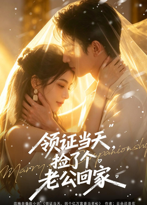 领证当天,捡了个老公回家(80集) 领证当天,捡了个老公回家(80集)精彩短剧天天看