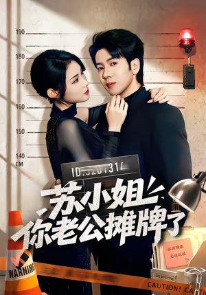 苏小姐你老公摊牌了（60集）在线看