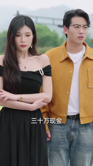 谁也别动我车（58集）热门短剧排行榜