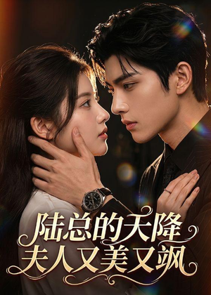陆总的天降夫人又美又飒（80集）精彩短剧来了