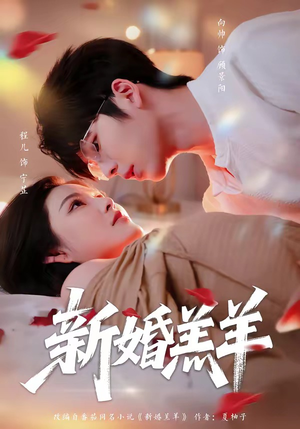 新婚羔羊（89集）精彩短剧推荐