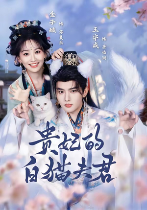 贵妃的白猫夫君(81集) 贵妃的白猫夫君(81集)集免费看短剧
