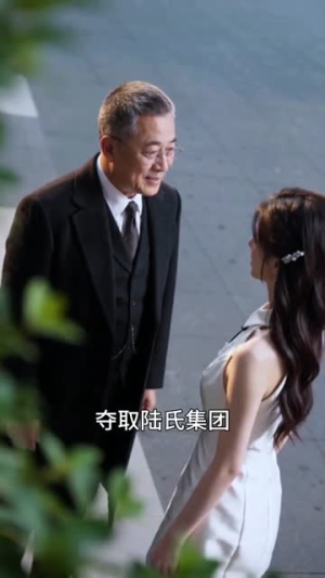 霸总的天降娇妻超飒绝(15集) 霸总的天降娇妻超飒绝(15集)百度网盘资源