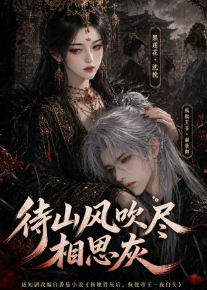 待山风吹尽相思灰（112集）一共多少集