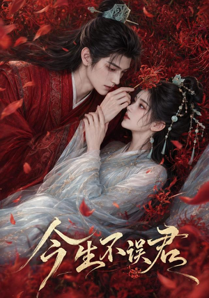 今生不误君（106集）免费短剧合集