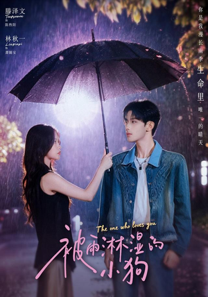 被雨淋湿的小狗（80集）古装短剧热播