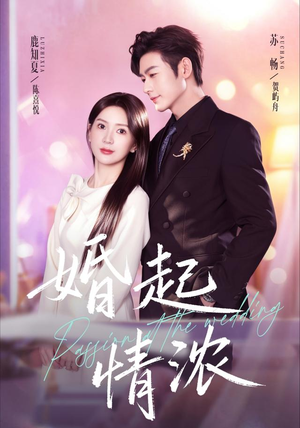 婚起情浓(99集) 婚起情浓(99集)热播短剧推荐