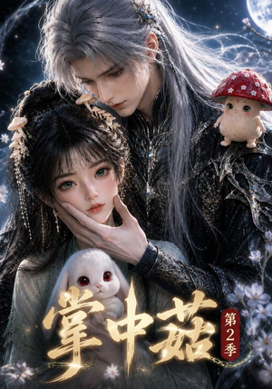掌中菇第2季（31集）全集一次看完